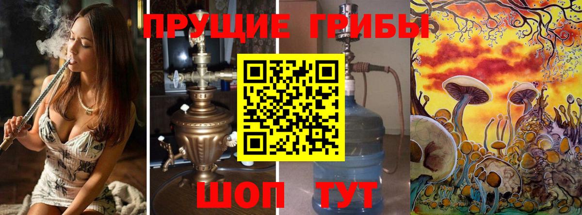 Канаш  Псилоцибиновые грибы прущие грибы  Вход с VPN 